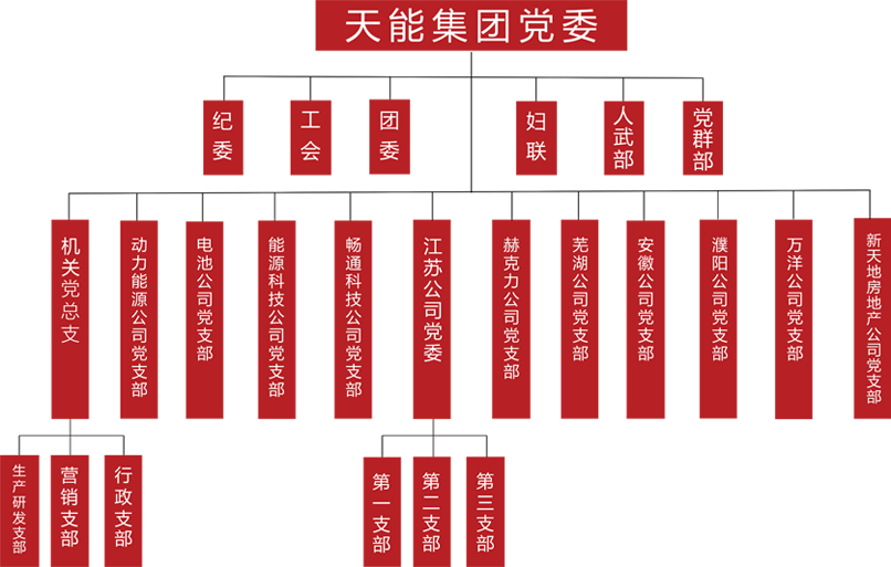 js555888金沙建团党委组织架构